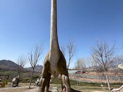 -西部长青自然儿童乐园