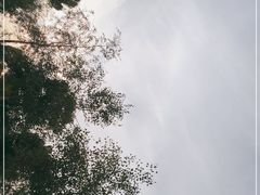 -金塔沙漠胡杨林景区