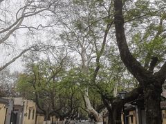 -颐和路民国时期公馆风貌区