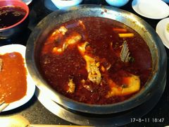 红汤锅-花鲢鱼头火锅(春城东路店)