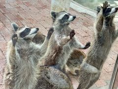 -水上乐园·欢乐世界