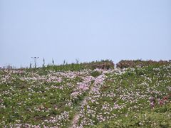-苏州湾体育公园