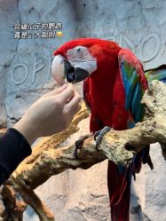 -Zoolung Zoolung动物主题公园(海信广场店)