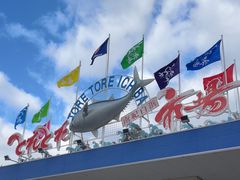 -南纪白浜Toretore市场