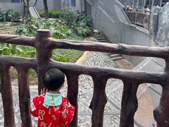 -柳州市动物园
