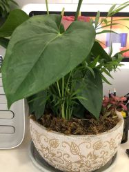 -悟空祛痘·亚健康皮肤管理中心