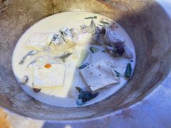 蒸汽石锅鱼-云中鱼蒸汽石锅鱼(浦东食品城店)
