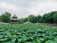 -莲池书院博物馆