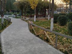 -西北大学(桃园校区)