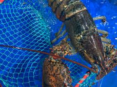 -盒马鲜生(首义店)