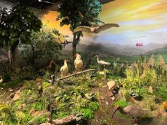 -陕西自然博物馆