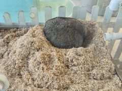 -怪兽屋·羊驼·猫咖·狗咖(俊华广场店)