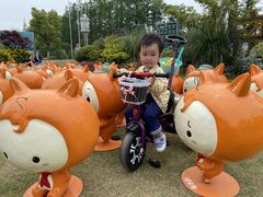 -上海长兴岛郊野公园