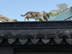 -虞山风景区