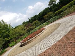 -嘉定紫藤园
