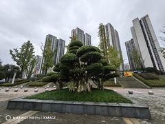 -龙头寺公园