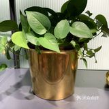 喜欢北欧时代潮流风，你应该来这里
