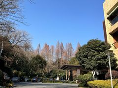 -拾溪餐厅·包厢(杭州千禧度假酒店)