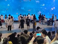 -烟台海昌鲸鲨海洋公园