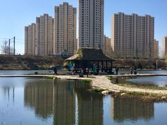 -前关湿地公园