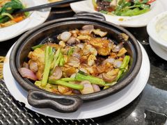 -新兴·金羊座·粤菜点心(乐峰店)