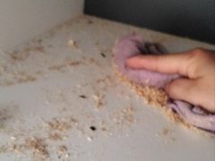 -清新全家甲醛治理(浦东新区店)
