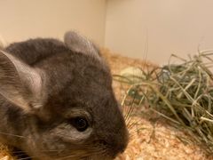 -龙猫仔乐园(惠福东路店)