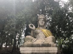 -北京十三陵国家森林公园蟒山景区