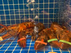 -百鸟朝凤宴会中心