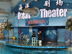 -苏州海洋馆