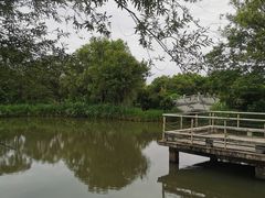 -西溪国家湿地公园