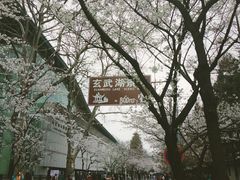 -鸡鸣赐茶(鸡鸣寺路店)
