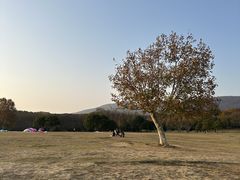 -钟山体育运动公园