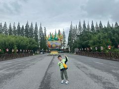 -黄海国家森林公园