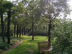 -AdD全日制餐厅(中谷花园酒店)