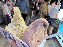 -野人先生现做冰淇淋(北京顺义祥云小镇店)