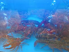 -香满锅老北京羊蝎子火锅·家常菜(新街口店)