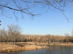 -东郊湿地公园