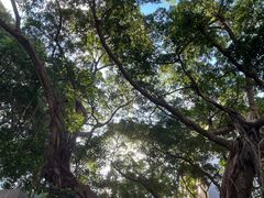 -广州市第一人民医院(院本部)