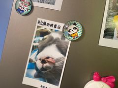 -爱诺耐芙动物医院(万博店)