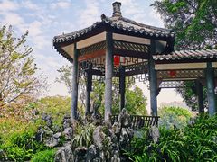 -荔湾湖公园