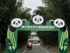 -都江堰中华大熊猫苑