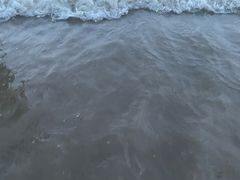 -椰风寨