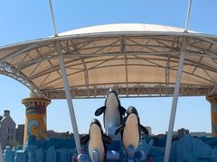 -北戴河圣蓝海洋公园