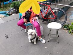 -爱侣宠医·鹦鹉专科·小型哺乳类·异宠专科(灵石路店)