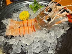-月龍吟(朝龙汇店)