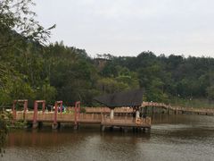 -神光山国家森林公园