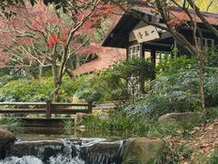-中国茶叶博物馆(双峰馆区)