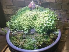 -鸢飞潍坊菜馆(鸢飞大酒店)