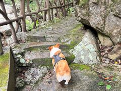 -炎陵县神农谷国家森林公园